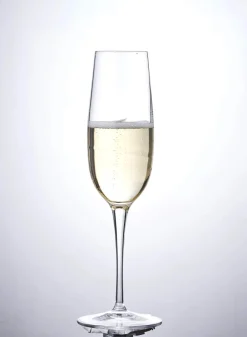 Aero Champagneglas - 6 stk.