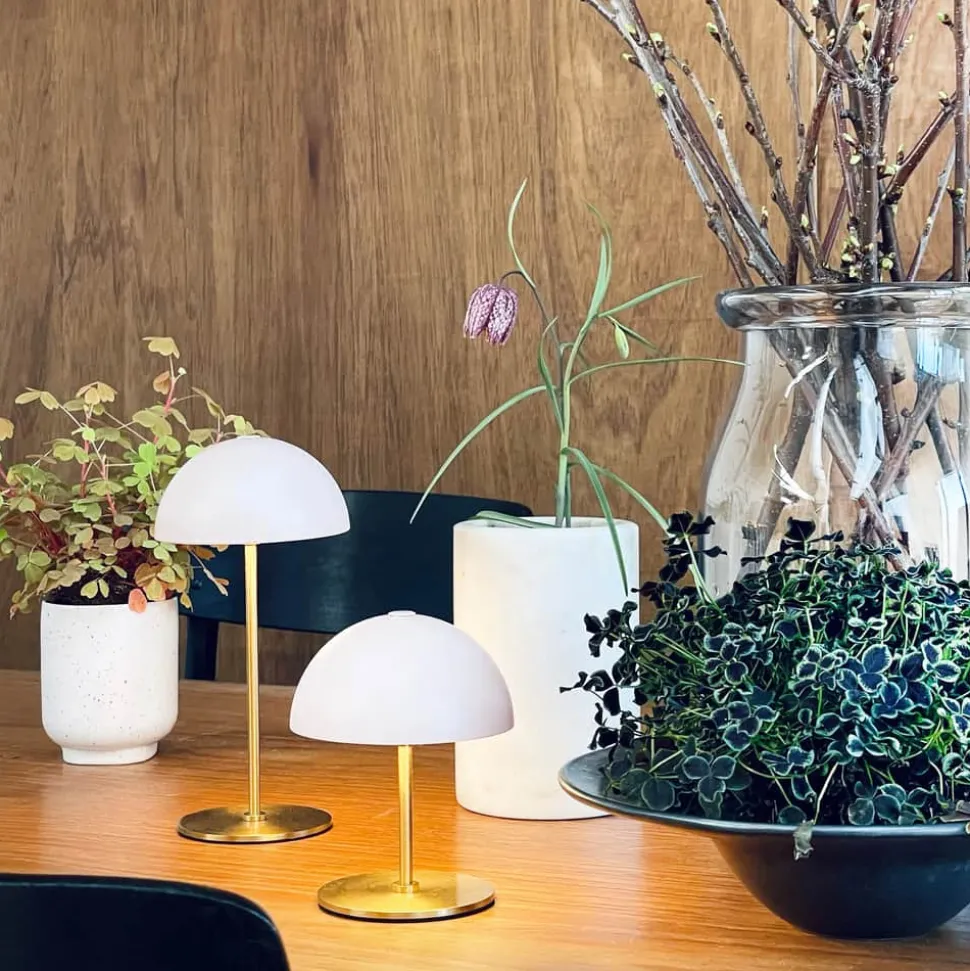 Along LED-Bordlampe - 2 stk