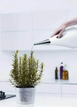 AquaStar Vandkande