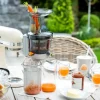 Artisan Slowjuicer