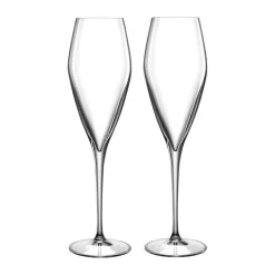 Atelier Champagneglas - 2 stk.
