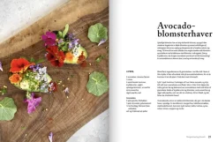 Avocado