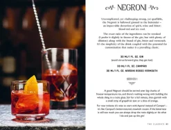 Bartender's Guide to Gin