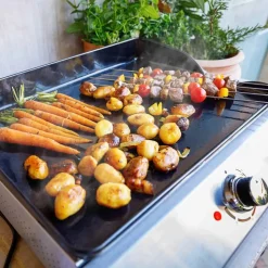 Bicarosse Plancha Bordgrill