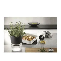Botanico Krydderurtepotte