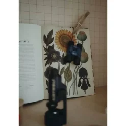 Børnekikkert