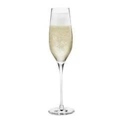 Cabernet Champagneglas