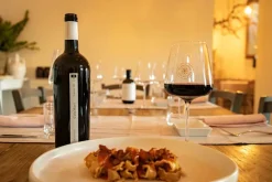 Calamuri Primitivo Rødvin