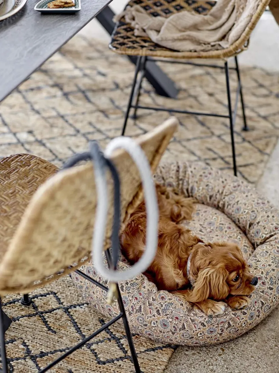 Ceylan Hundesnor