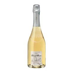 Champagne Blanc de Blanc