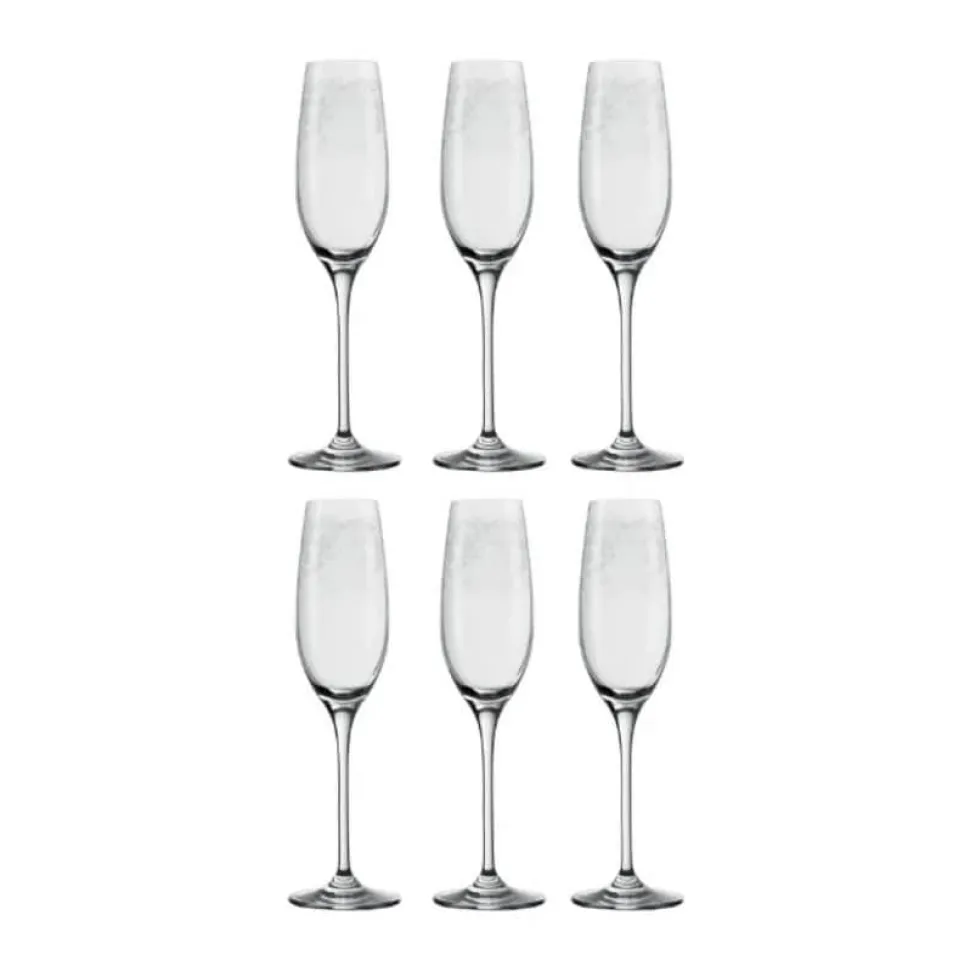 Champagneglas - 6 stk.