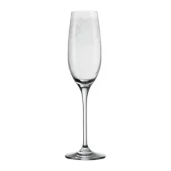 Champagneglas - 6 stk.