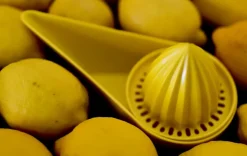 Citruspresser