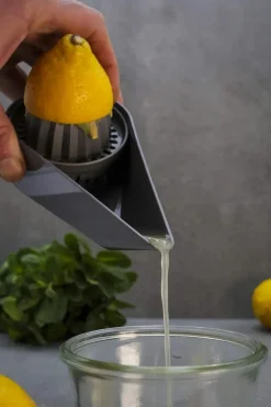Citruspresser