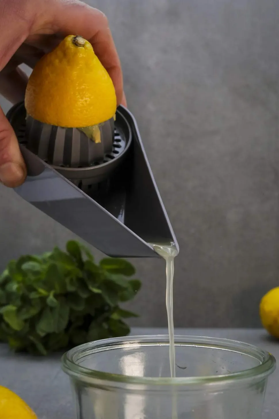 Citruspresser