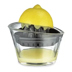 Citruspresser