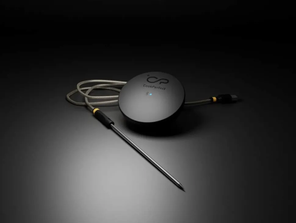CookPerfect Stegetermometer