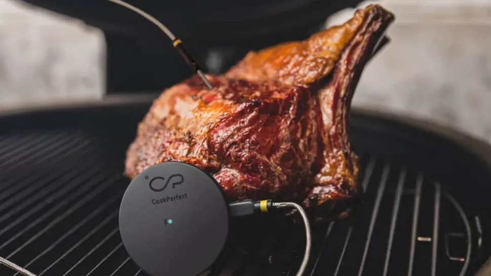 CookPerfect Stegetermometer