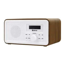 DAB+ PLL FM Radio