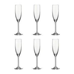 Daily Champagneglas - 6 stk.