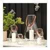 Design With Light Lanterne