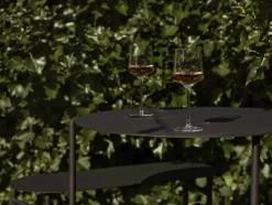 Disc Bord