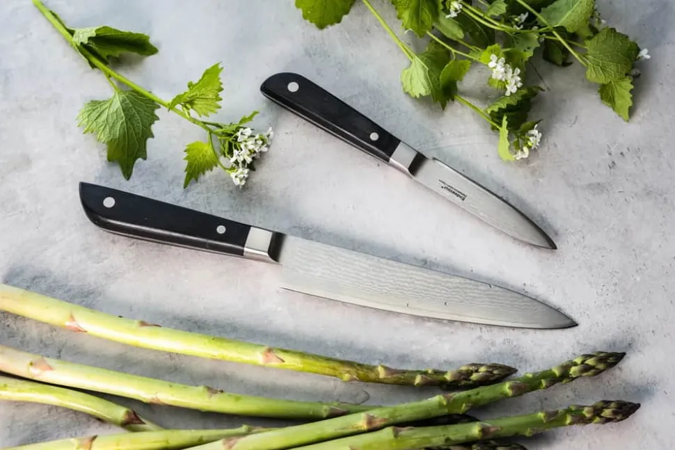 Discovery PRO Knivsæt - 2 dele