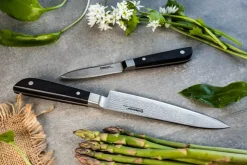 Discovery PRO Knivsæt - 2 dele