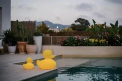 Duck-Duck Lampe - Lille