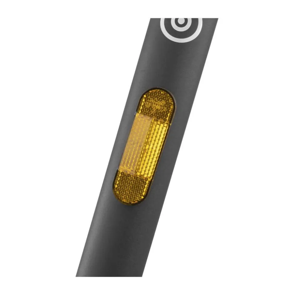 Elektrisk Løbehjul 10” E-6045FRS
