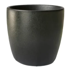 Espressokop