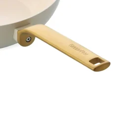 Evolution Wok