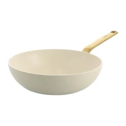Evolution Wok