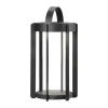 Firefly LED Lanterne