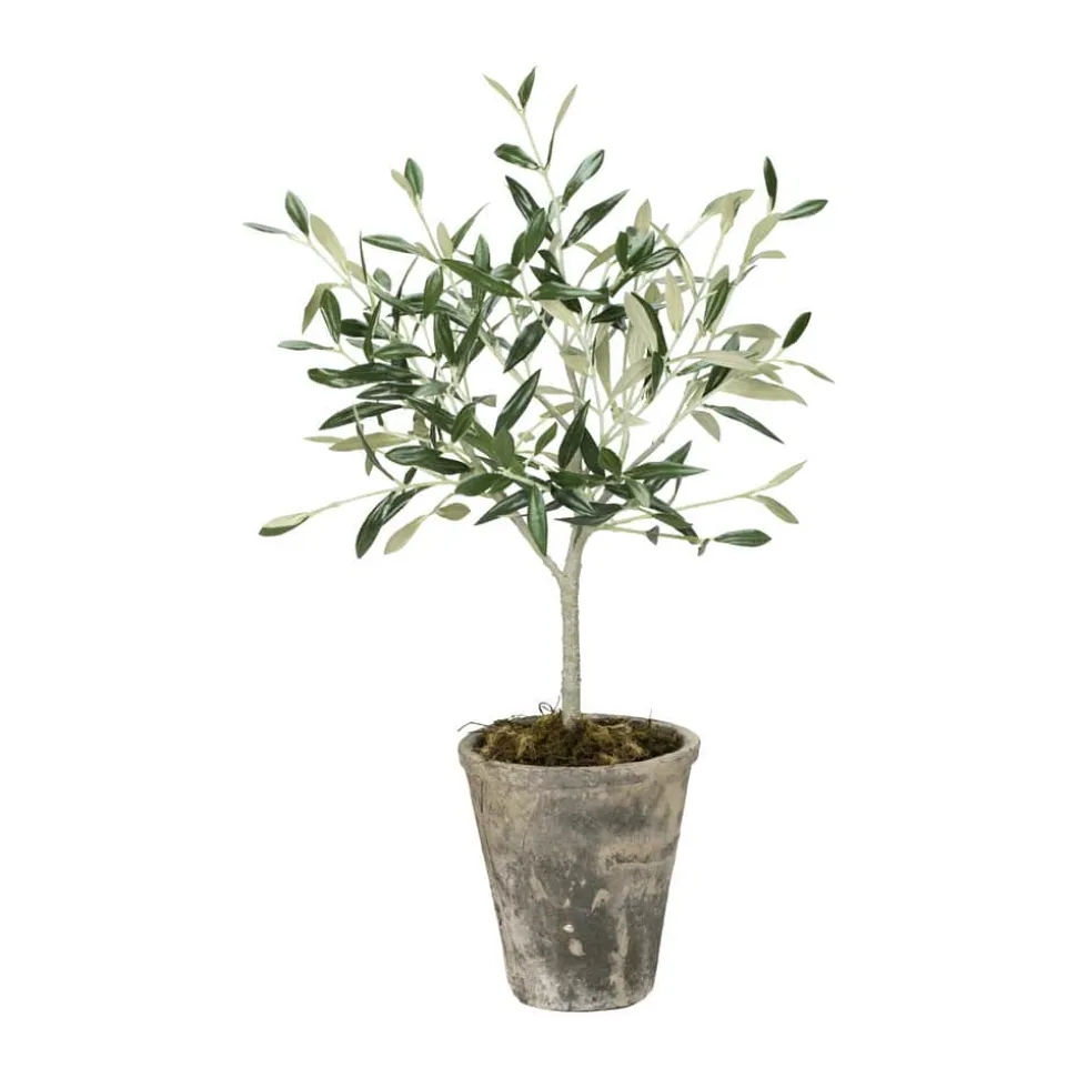 Flora Kunstig Oliventræ