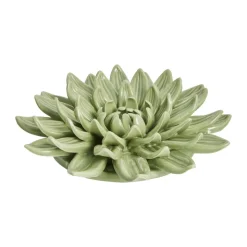 Floria Pocelænsvægblomst