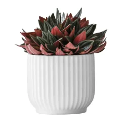 Flowerpot Urtepotteskjuler