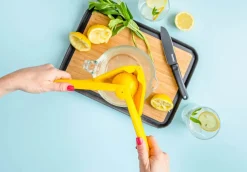 Fluicer Citruspresser