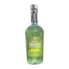 Frozen Cocktail Mixer - Mojito
