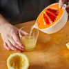 Functional Form Citruspresser