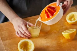 Functional Form Citruspresser