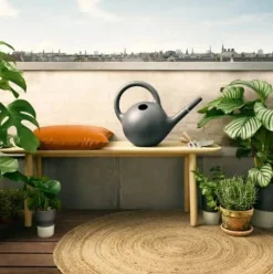 Globe Vandkande