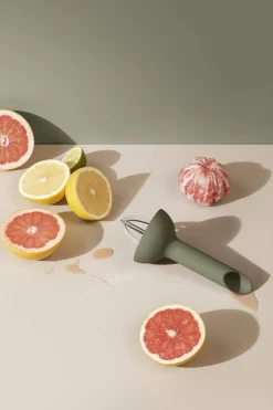 Green Tool Citruspresser