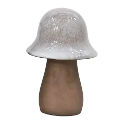 Hatt Svamp