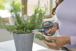 HerbCut Køkkensaks