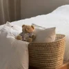 Icons Bamse