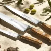 Ideal Provence Filetkniv