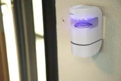 Insektlampe