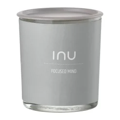 Inu Duftlys - Focused Mind