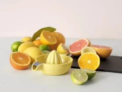 Juicy Citruspresser